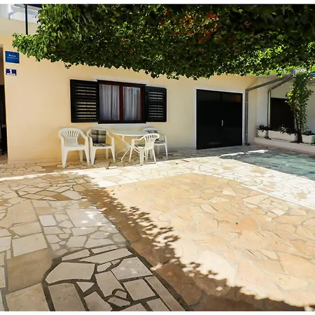 Bruno * 프리모스턴