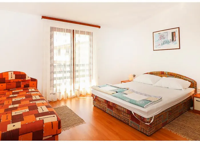 Bruno * 프리모스턴