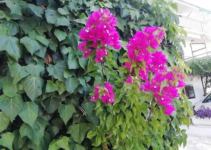 Bruno Apartamento Primošten